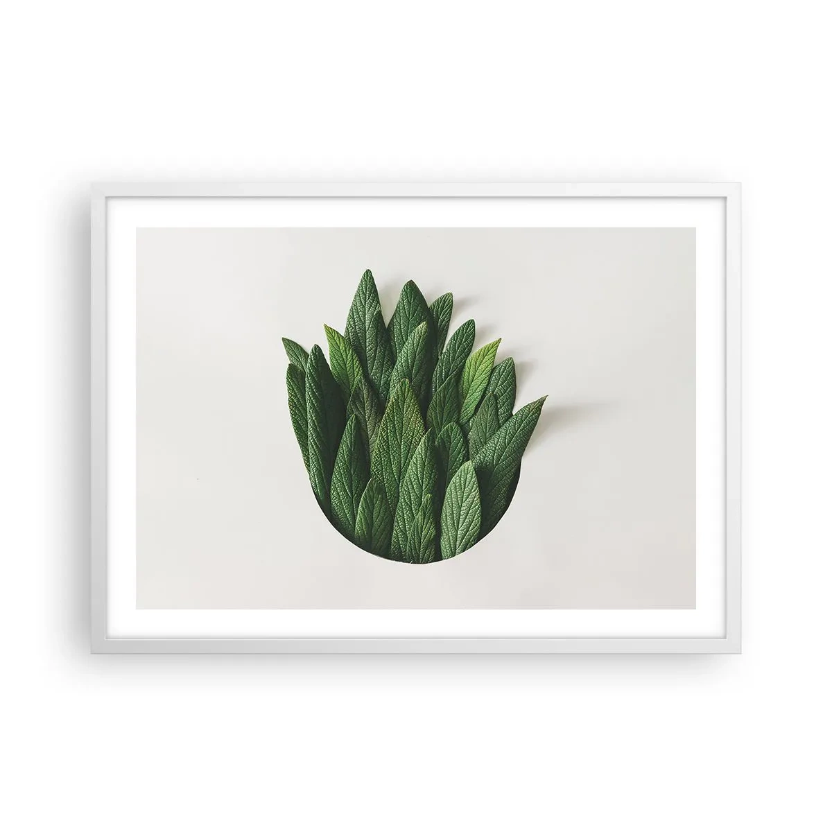 Plakát v bílém rámu - Neukojitelná zvědavost - 70x50 cm