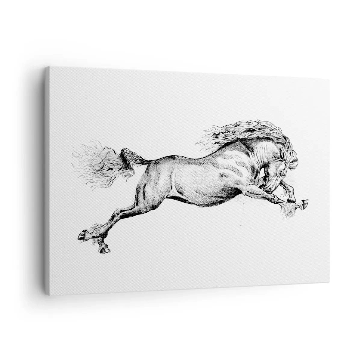 Obraz na plátně - Náčrt koně v dynamickém cvalu na bílém pozadí - 70x50cm - Zastavený v cvalu - Moderní nástěnná dekorace do obývacího pokoje a ložnice ARTTOR