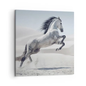 Obraz na plátně - Arabský kníže - 50x50 cm