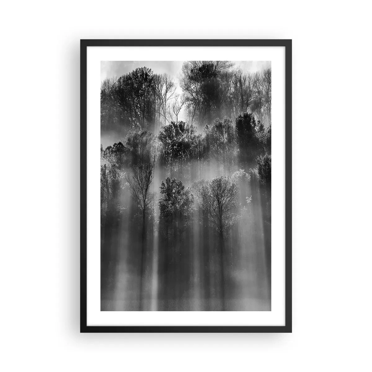 Plakát v černém rámu - Černobílý les v mlze se slunečními paprsky - 50x70cm - V paprscích světla - Moderní nástěnná dekorace do obývacího pokoje a ložnice ARTTOR