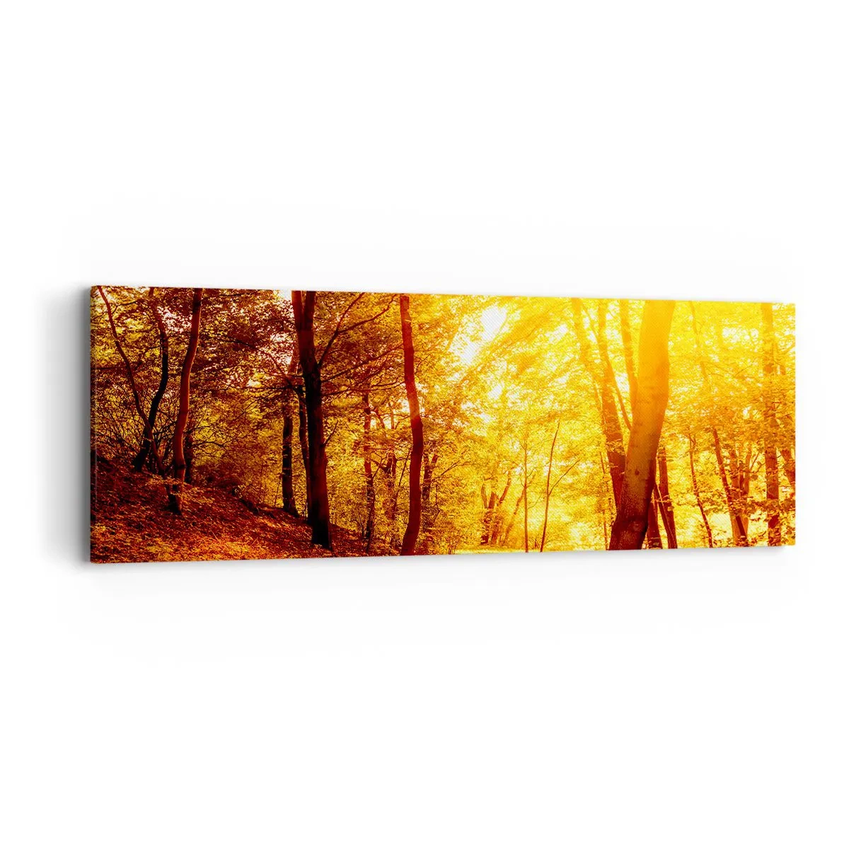 Obraz na plátně - Ke zlaté mýtině - 90x30 cm