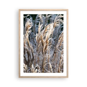 Plakát v rámu světlý dub - Mrazem pokryté - 50x70 cm