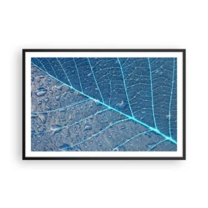 Plakát v černém rámu - Život v modři - 91x61 cm