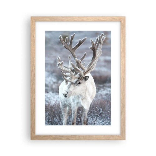 Plakát v rámu světlý dub - Sluneční portrét - 30x40 cm