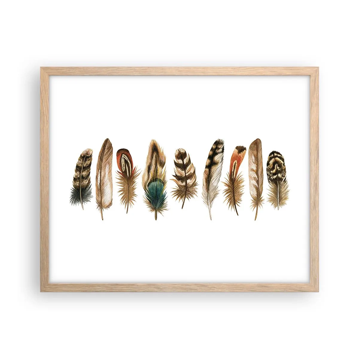 Plakát v rámu světlý dub - Opeřená variace - 50x40 cm