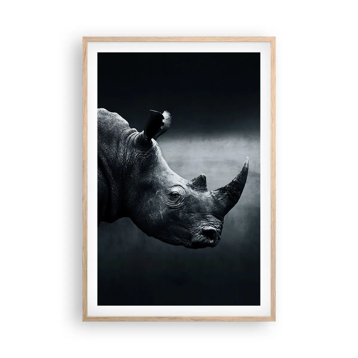 Plakát v rámu světlý dub - Pravý profil - 61x91 cm