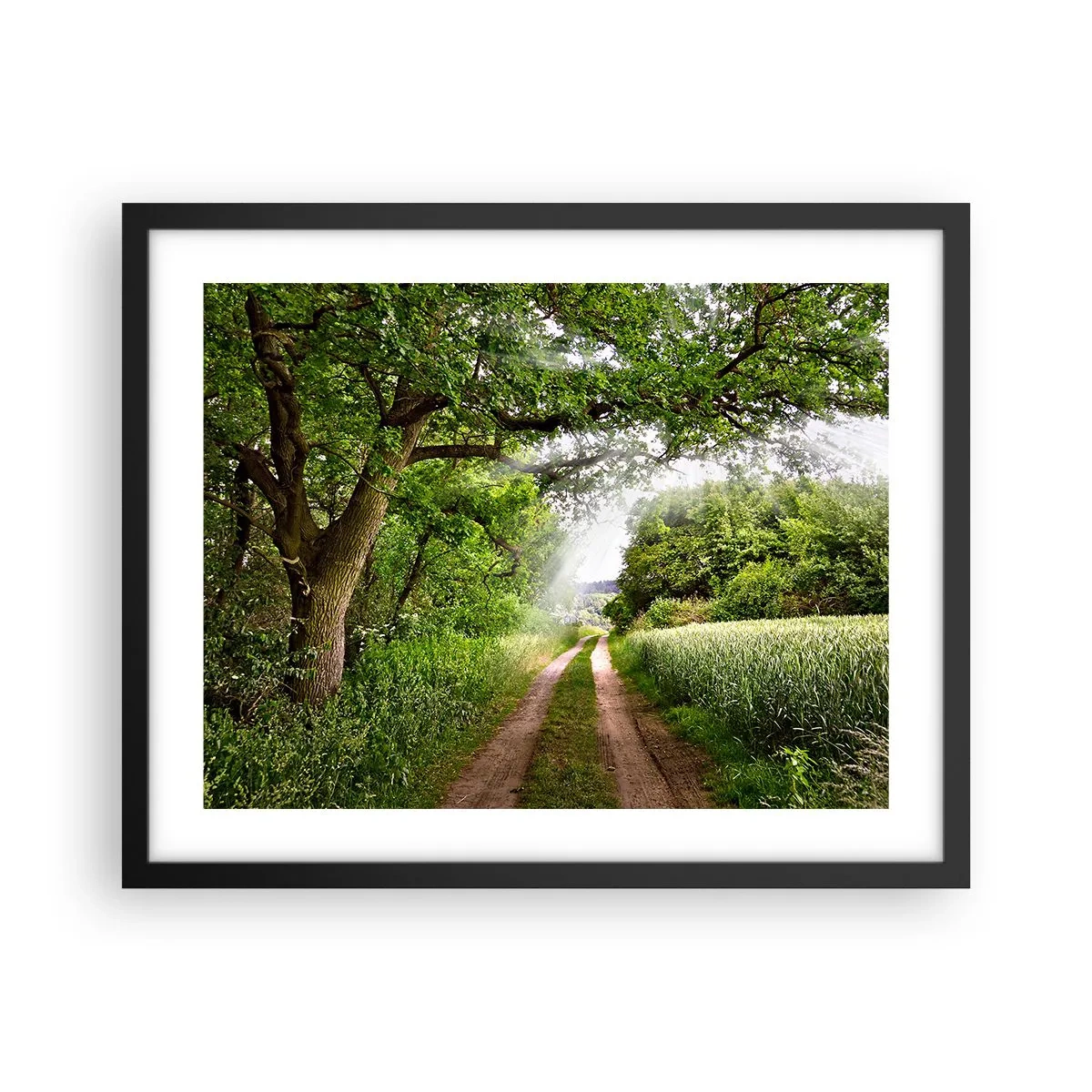 Plakát v černém rámu - Et in Arcadia ego - 50x40 cm