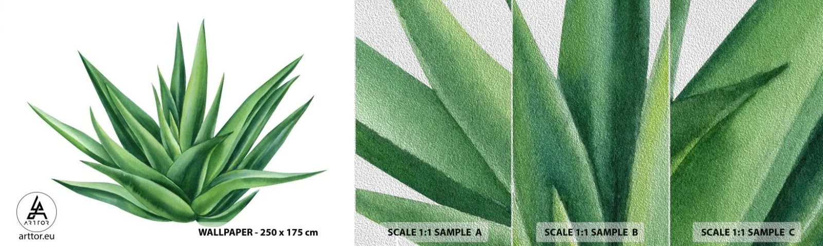 Vzor Fototapety Premium Sand - Zelená – síla – život - Rostlina, Aloe, Botanika - 100x30 cm