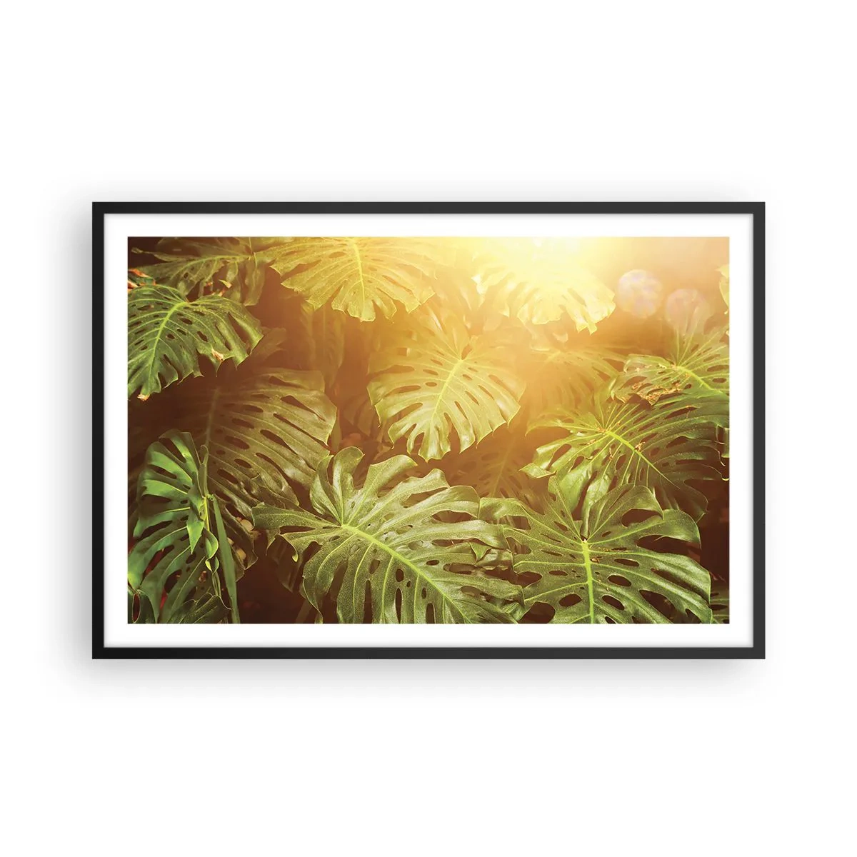 Plakát v černém rámu - Vstoupit do zeleně… - 91x61 cm