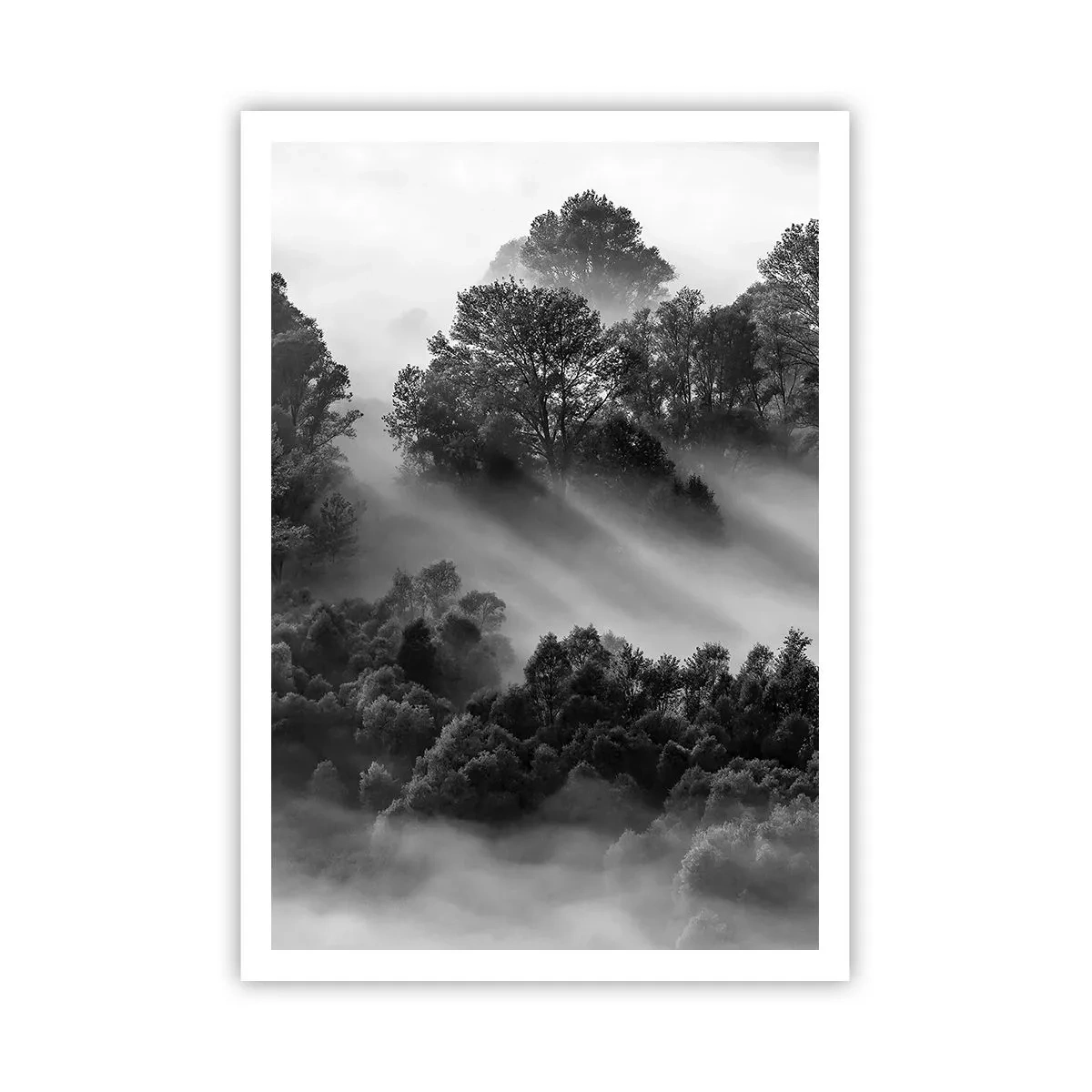 Plakát - Probouzení ze spánku - 70x100 cm