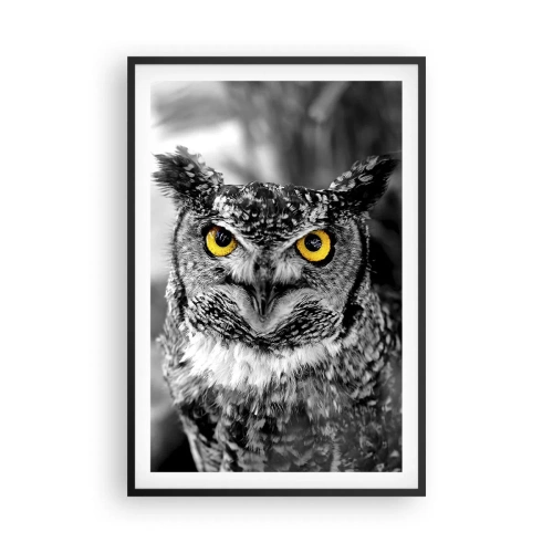 Plakát v černém rámu - Nic se neschová - 61x91 cm