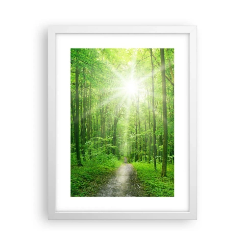 Plakát v bílém rámu - Zelená katedrála - 30x40 cm