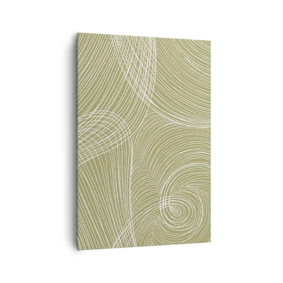 Obraz na plátně - Mistrovská abstrakce v bílé - 70x100 cm