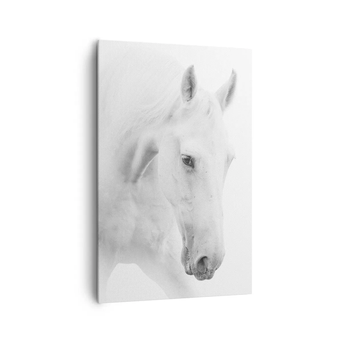 Obraz na plátně - Je to přátelství…? - 80x120 cm