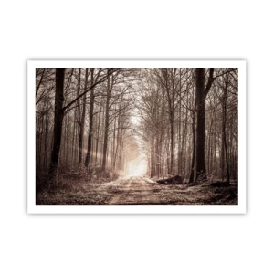 Plakát - Lesní katedrála - 100x70 cm