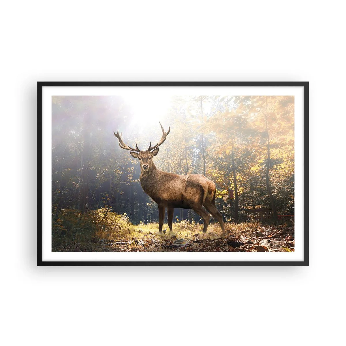 Plakát v černém rámu - Plné důstojnosti - 91x61 cm