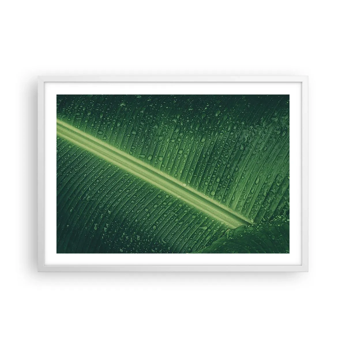 Plakát v bílém rámu - Struktura zelené - 70x50 cm