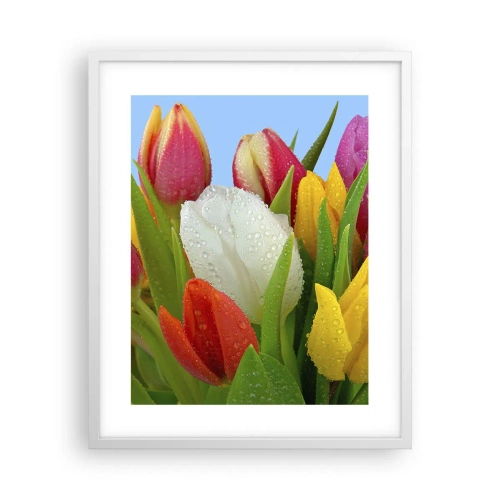 Plakát v bílém rámu - Květinová duha v kapkách rosy - 40x50 cm