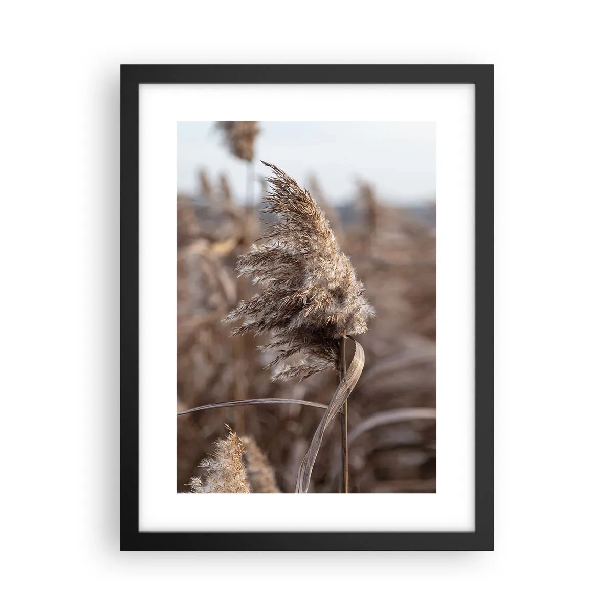 Plakát v černém rámu - Čas odletět s větrem - 30x40 cm