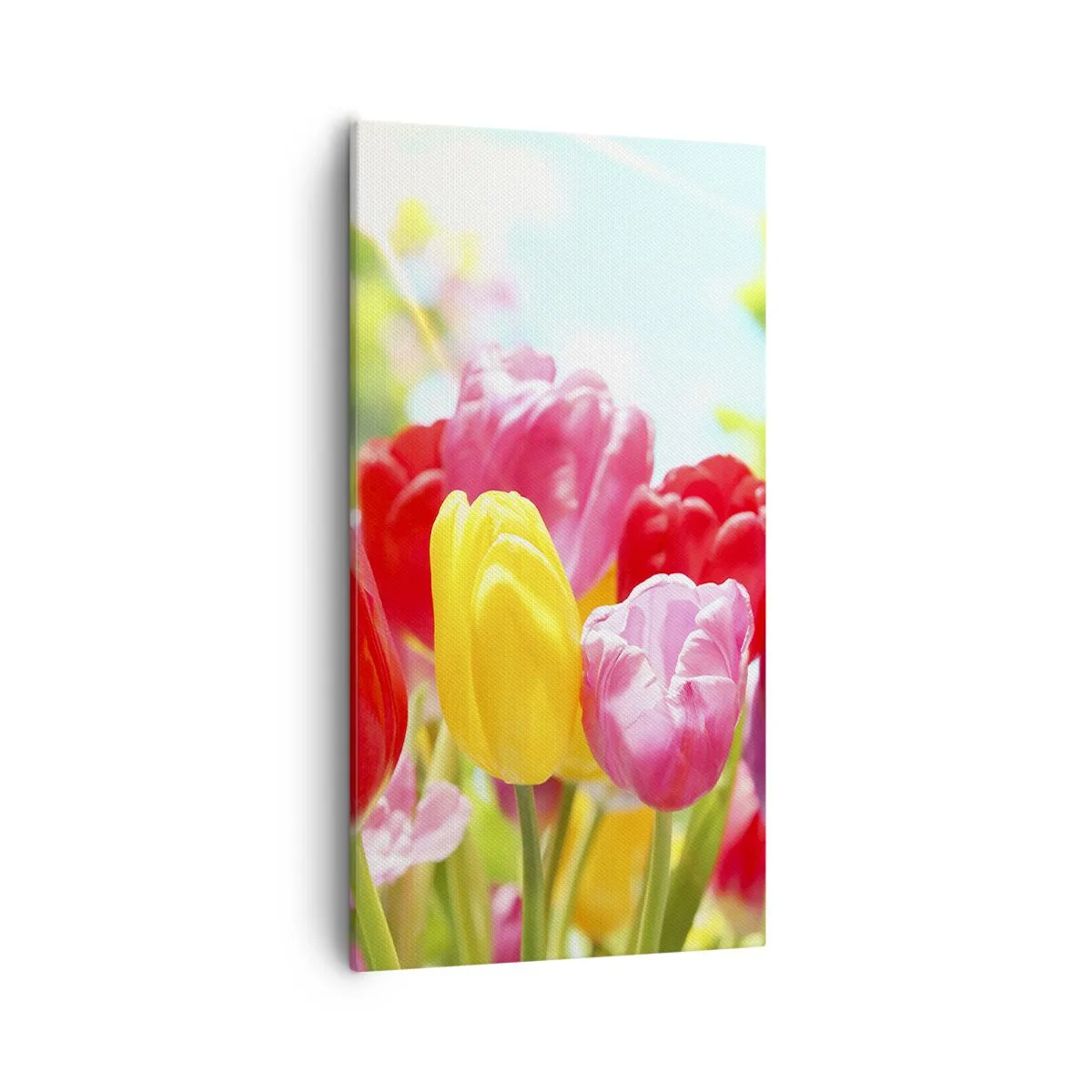 Obraz na plátně - To jsme my, barvy května! - 55x100 cm