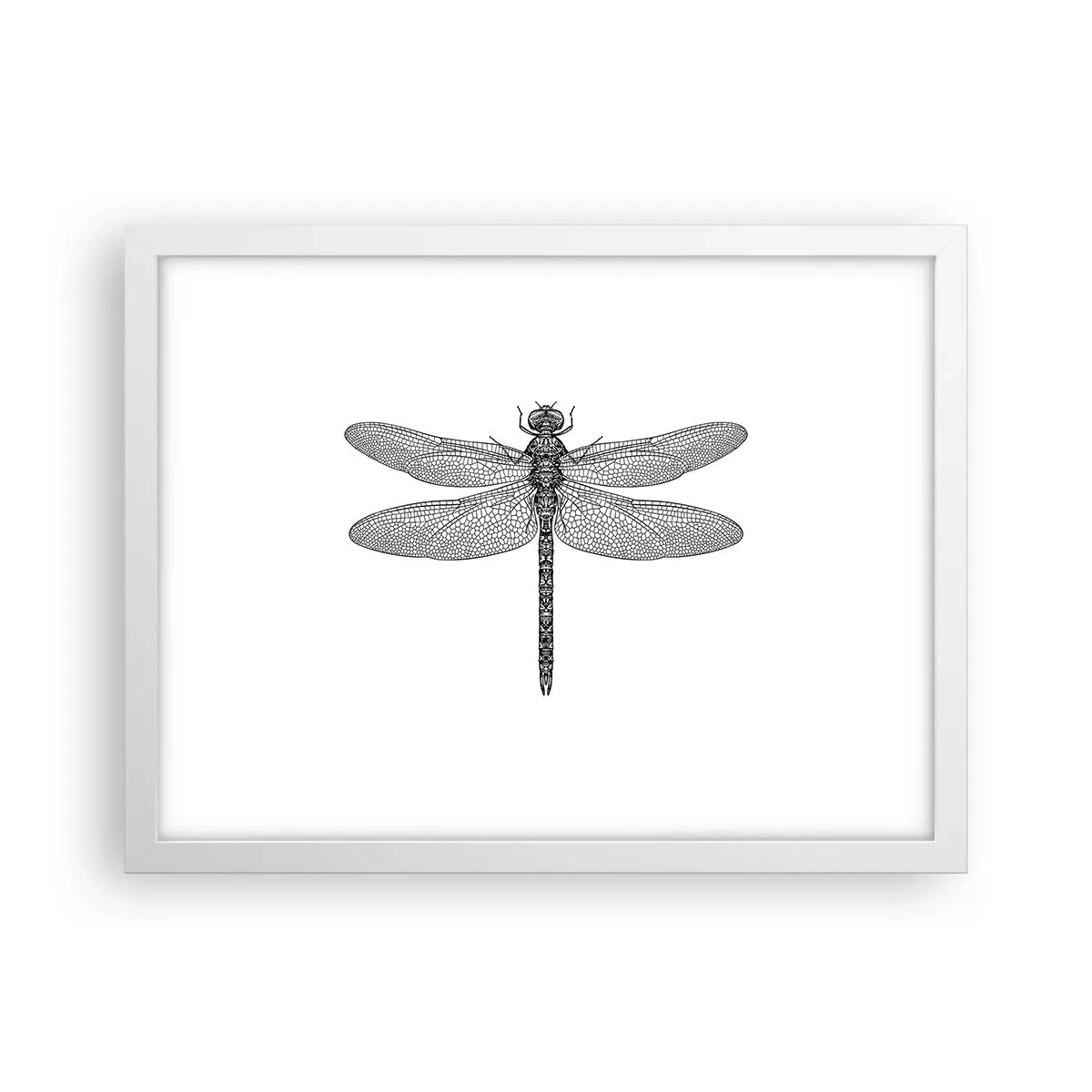 Plakát v bílém rámu - Přesnost přírody - 40x30 cm