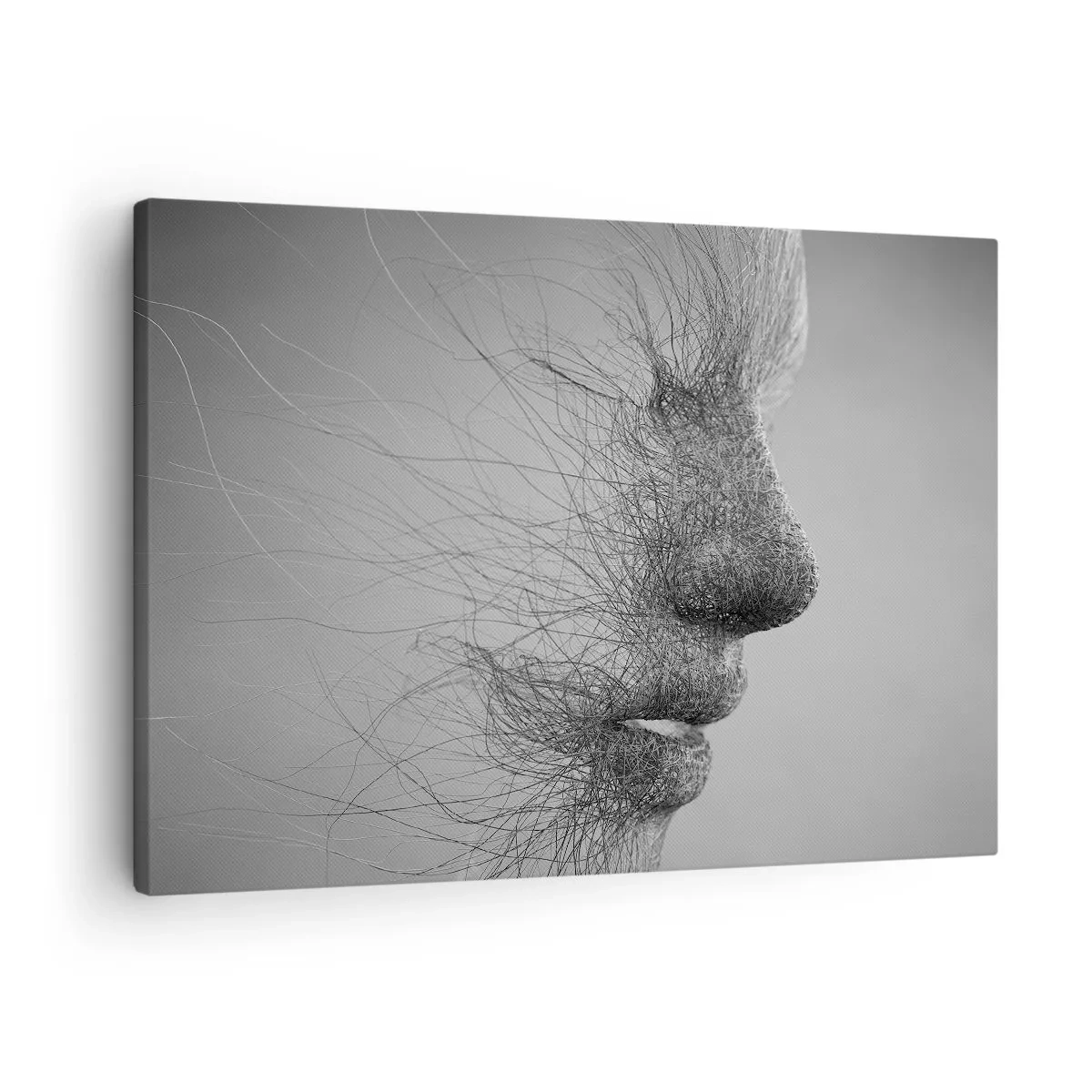 Obraz na plátně - Umělecký profil obličeje vytvořený jemnými liniemi - 70x50cm - Duch větru - Moderní nástěnná dekorace do obývacího pokoje a ložnice ARTTOR