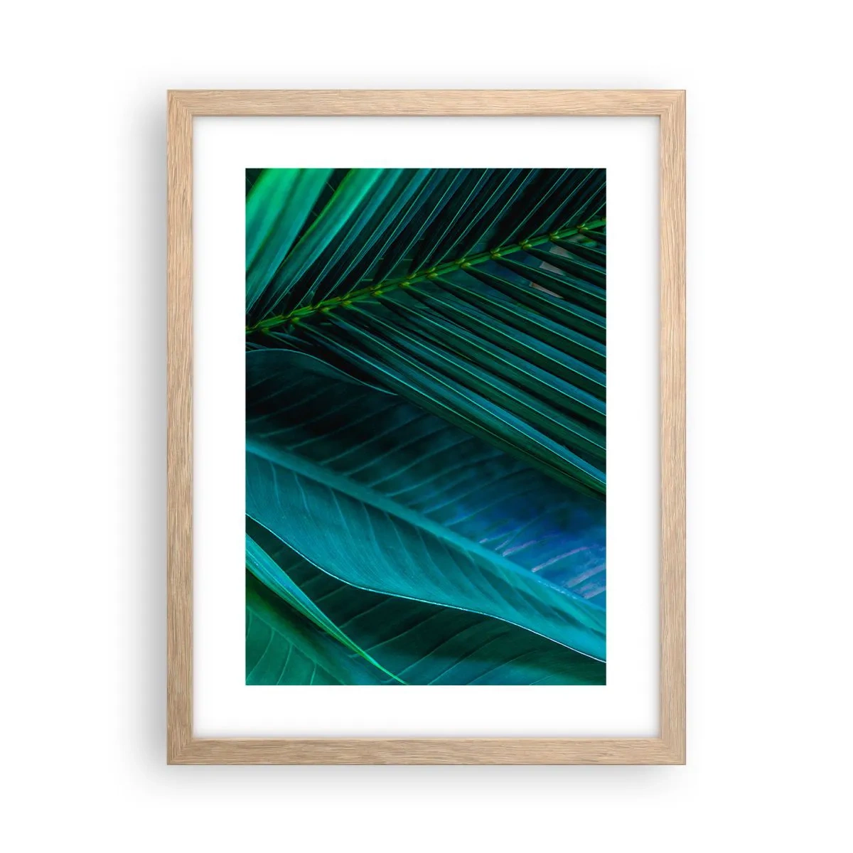Plakát v rámu světlý dub - Anatomie zelené - 30x40 cm