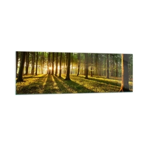 Obraz na skle - Fotografie všech jar - 160x50 cm