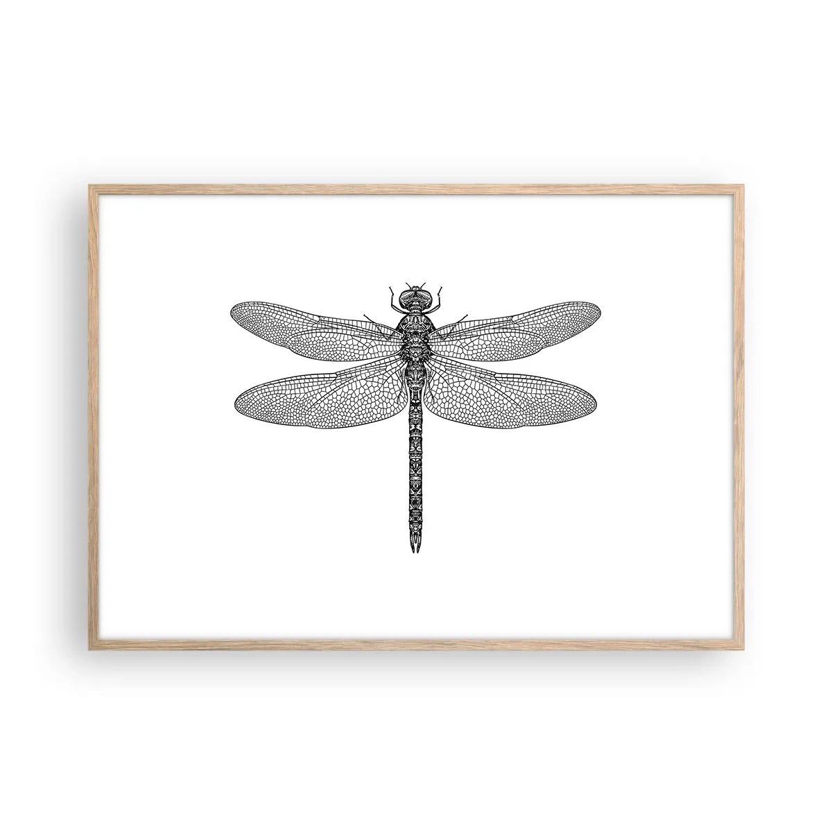 Plakát v rámu světlý dub - Přesnost přírody - 100x70 cm