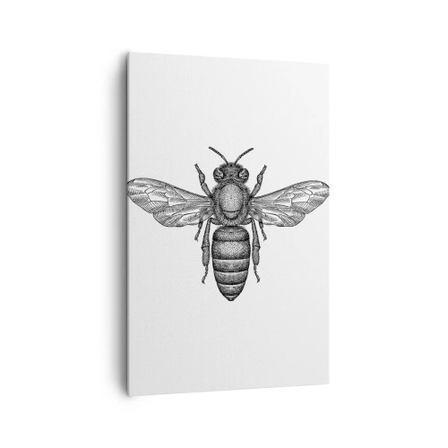 Obraz na plátně - Hmyzí portrét - 80x120 cm