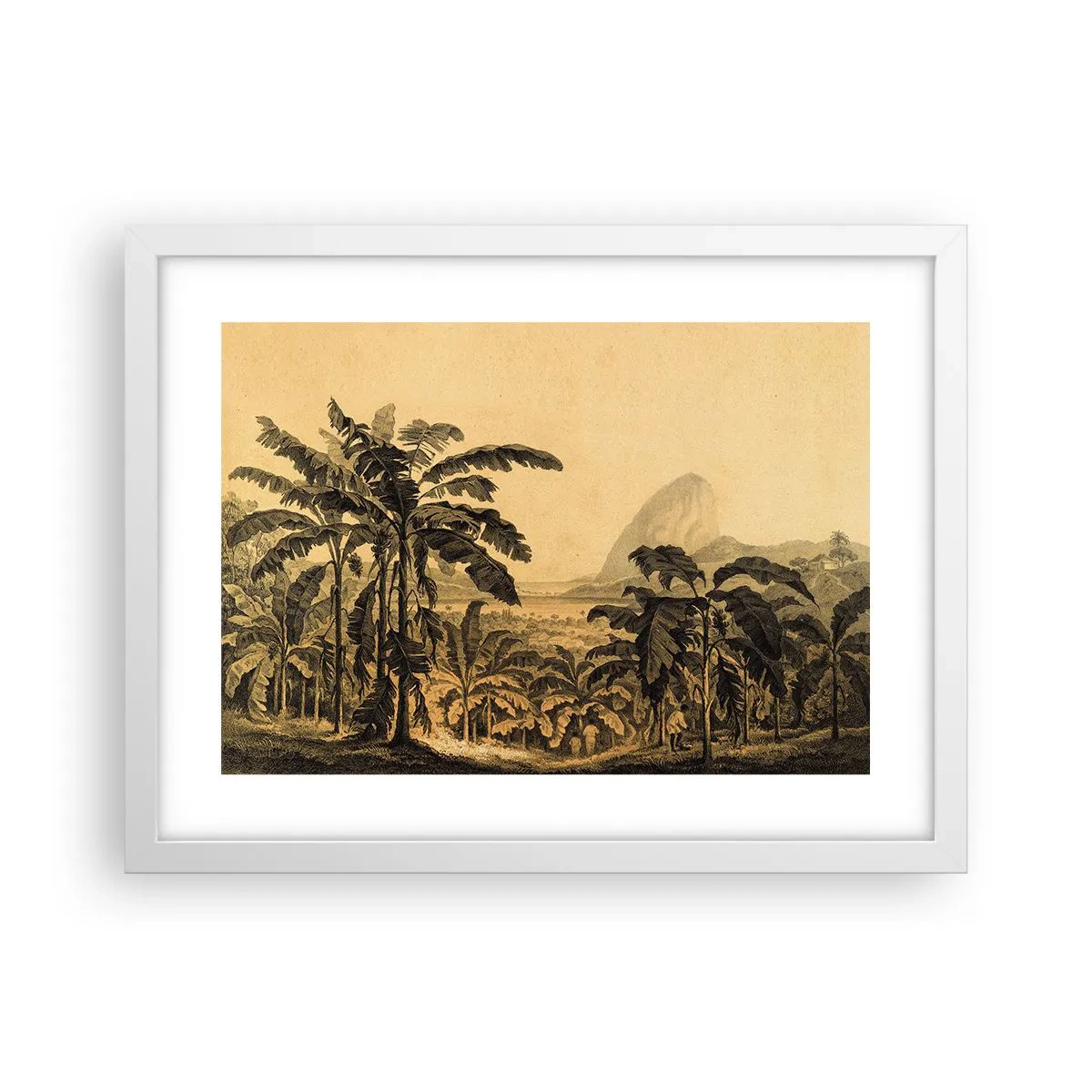 Plakát v bílém rámu - V koloniálním stylu - 40x30 cm