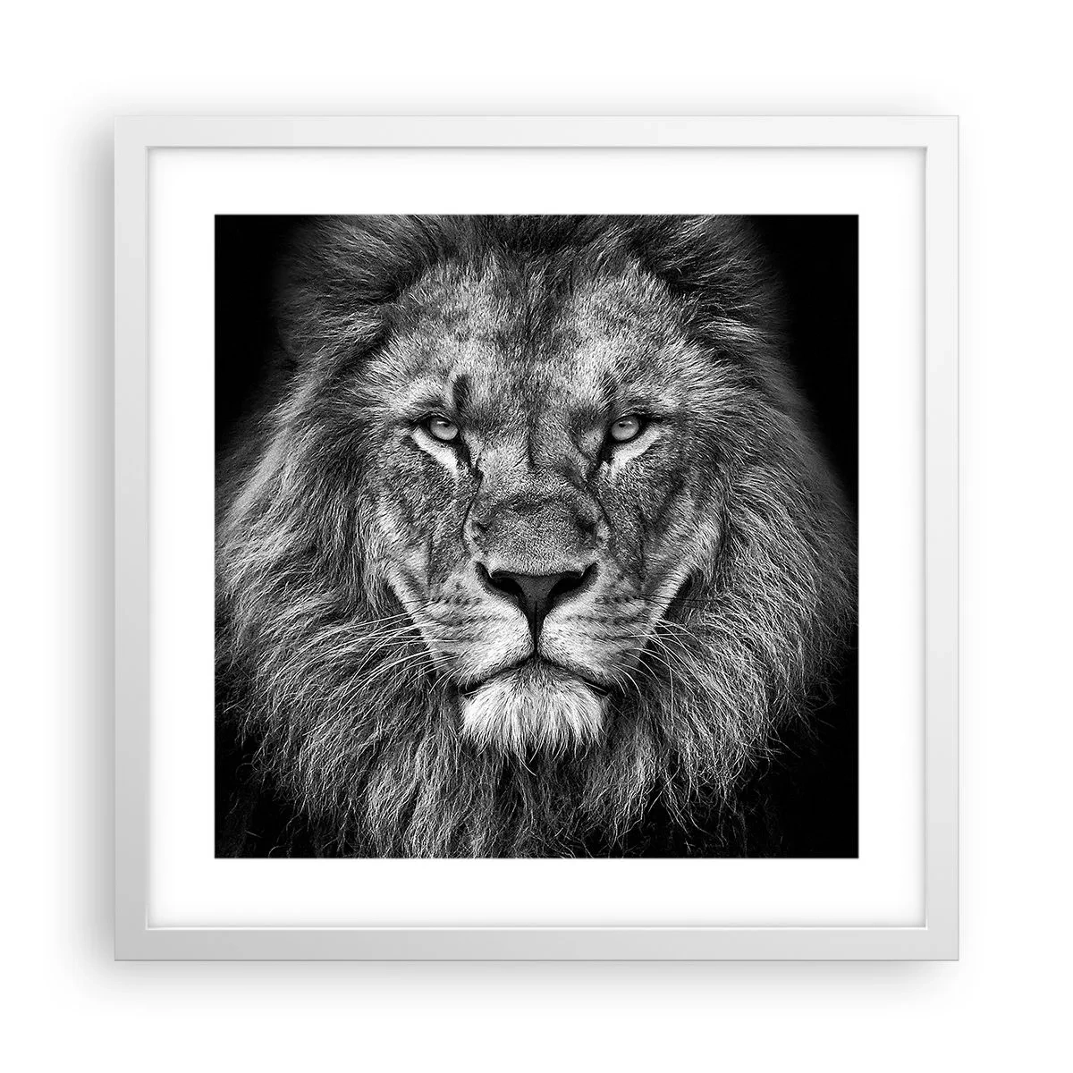 Plakát v bílém rámu - V korunovačním oděvu - 40x40 cm