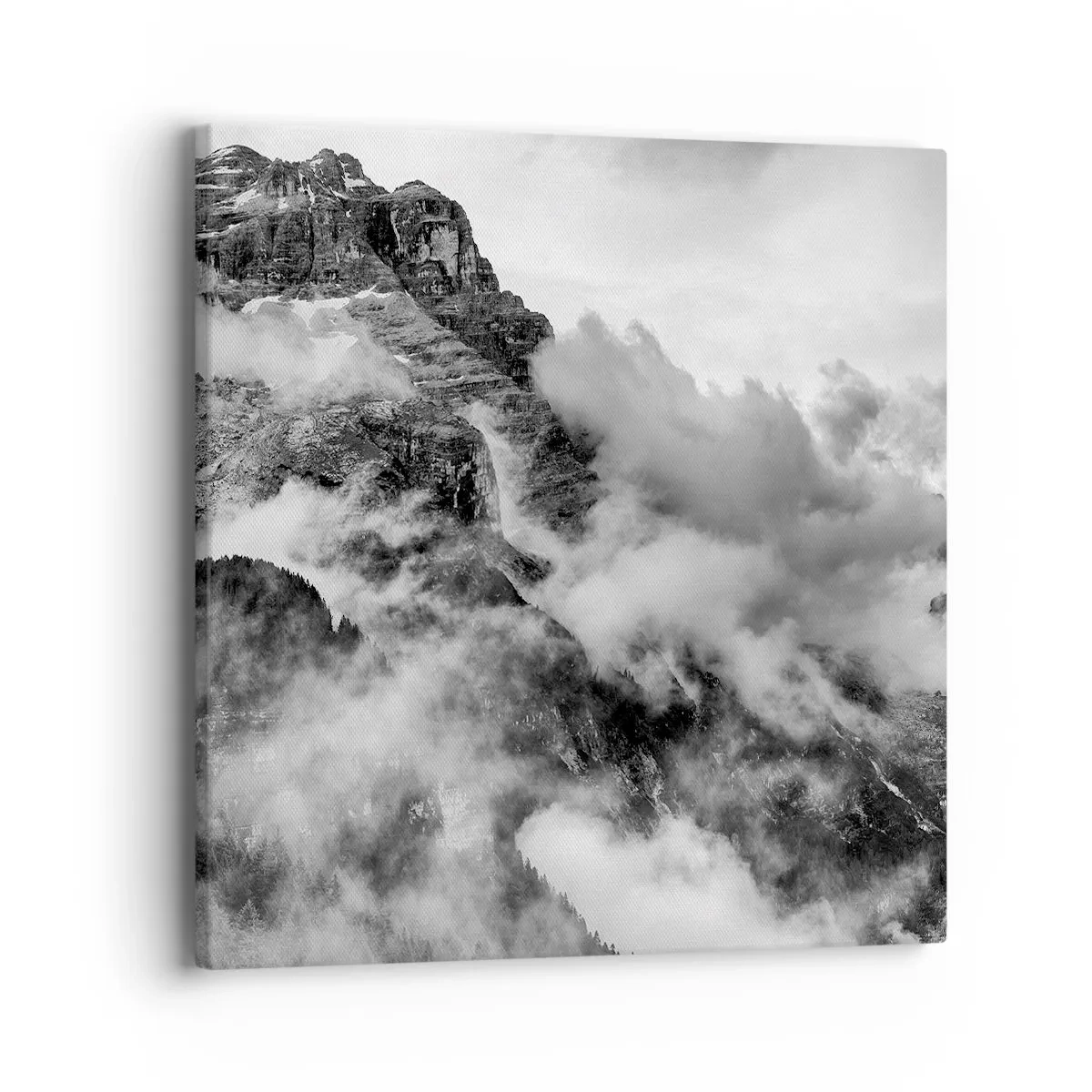 Obraz na plátně - Krásné a kruté - 40x40 cm