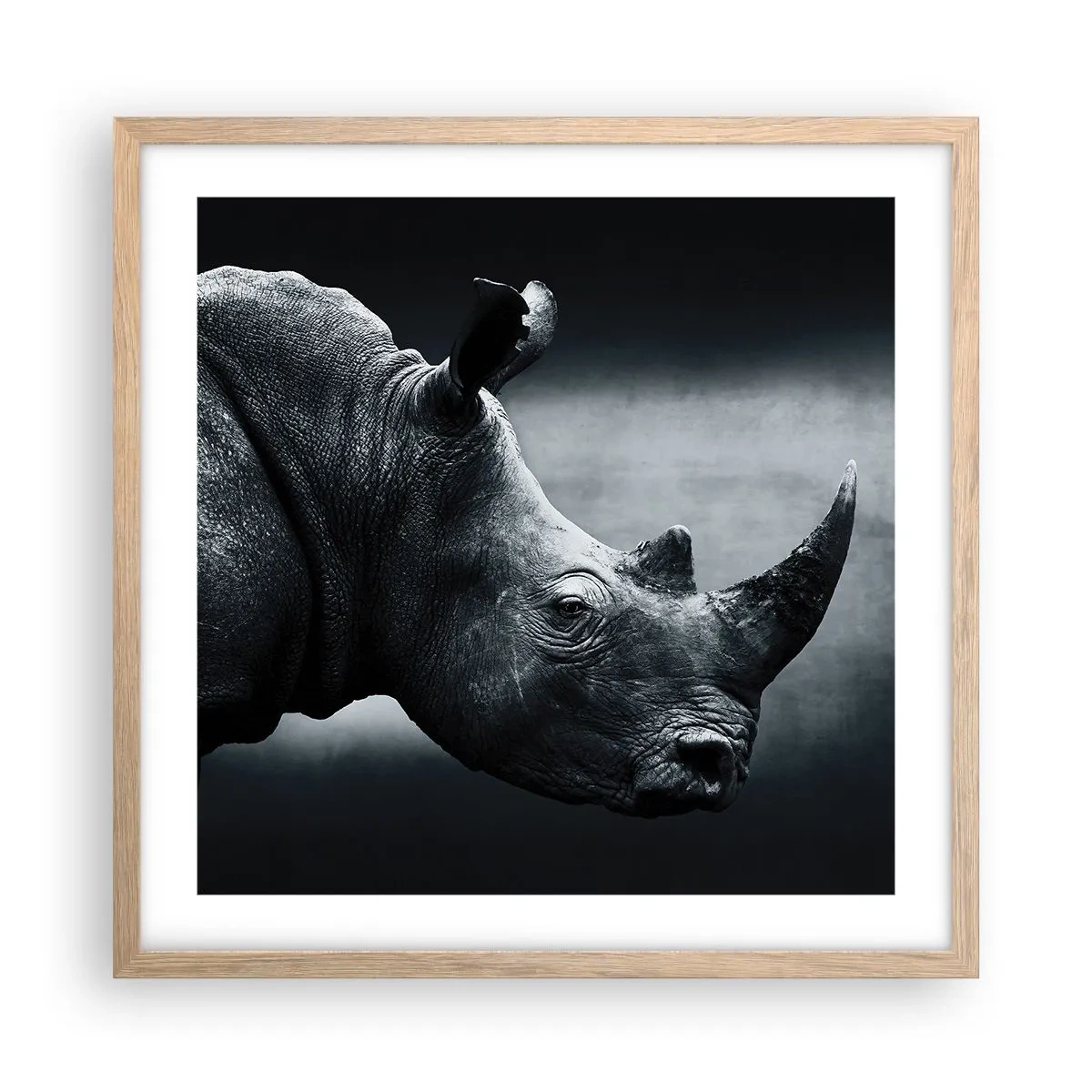 Plakát v rámu světlý dub - Pravý profil - 50x50 cm