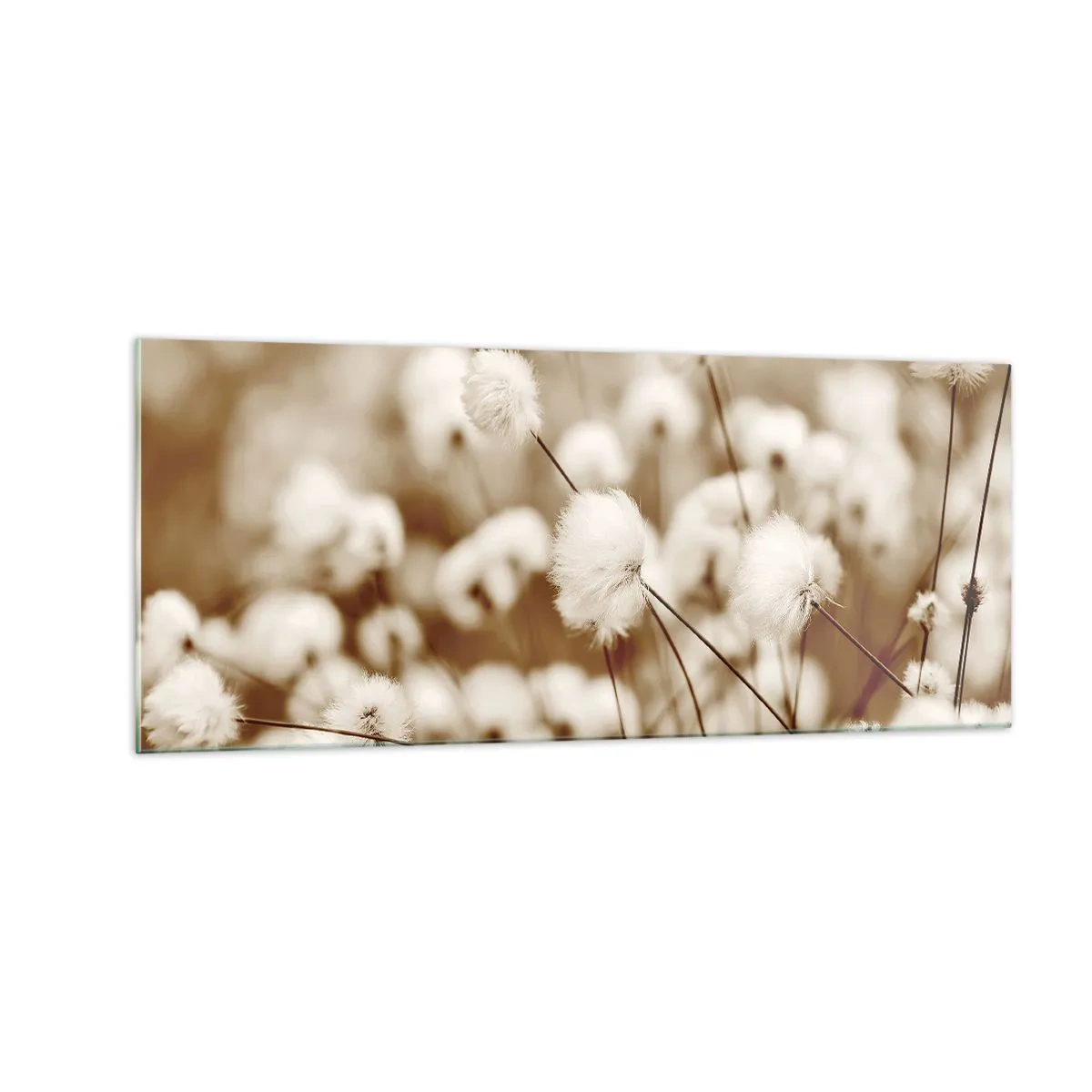 Obraz na skle - Chlupatý lán - 100x40 cm