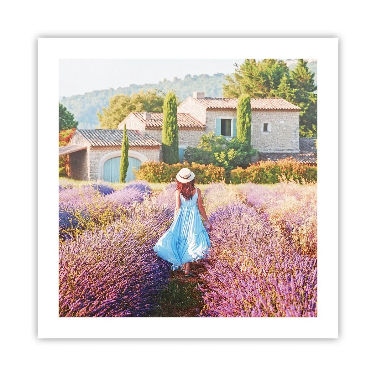 Plakát - Levandulová dívka - 50x50 cm