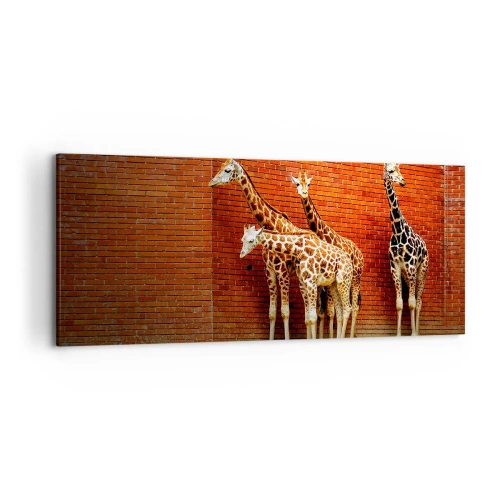 Obraz na plátně - Vidíte nějaký akát? - 120x50 cm