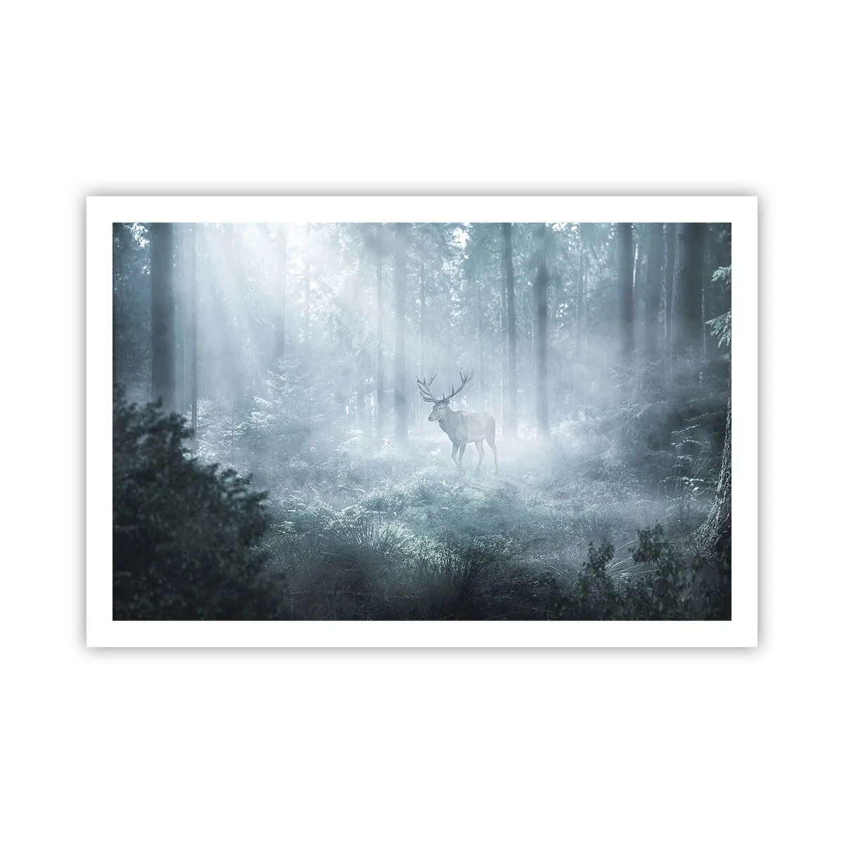 Plakát - Ranní obchůzka sídliště - 91x61 cm