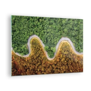 Obraz na skle - Klikatá cesta hustým lesem z ptačí perspektivy - 70x50cm - Hranice a průlomy - Moderní nástěnná dekorace do obývacího pokoje a ložnice ARTTOR