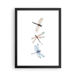 Plakát v černém rámu - Beztížné vážky - 30x40 cm