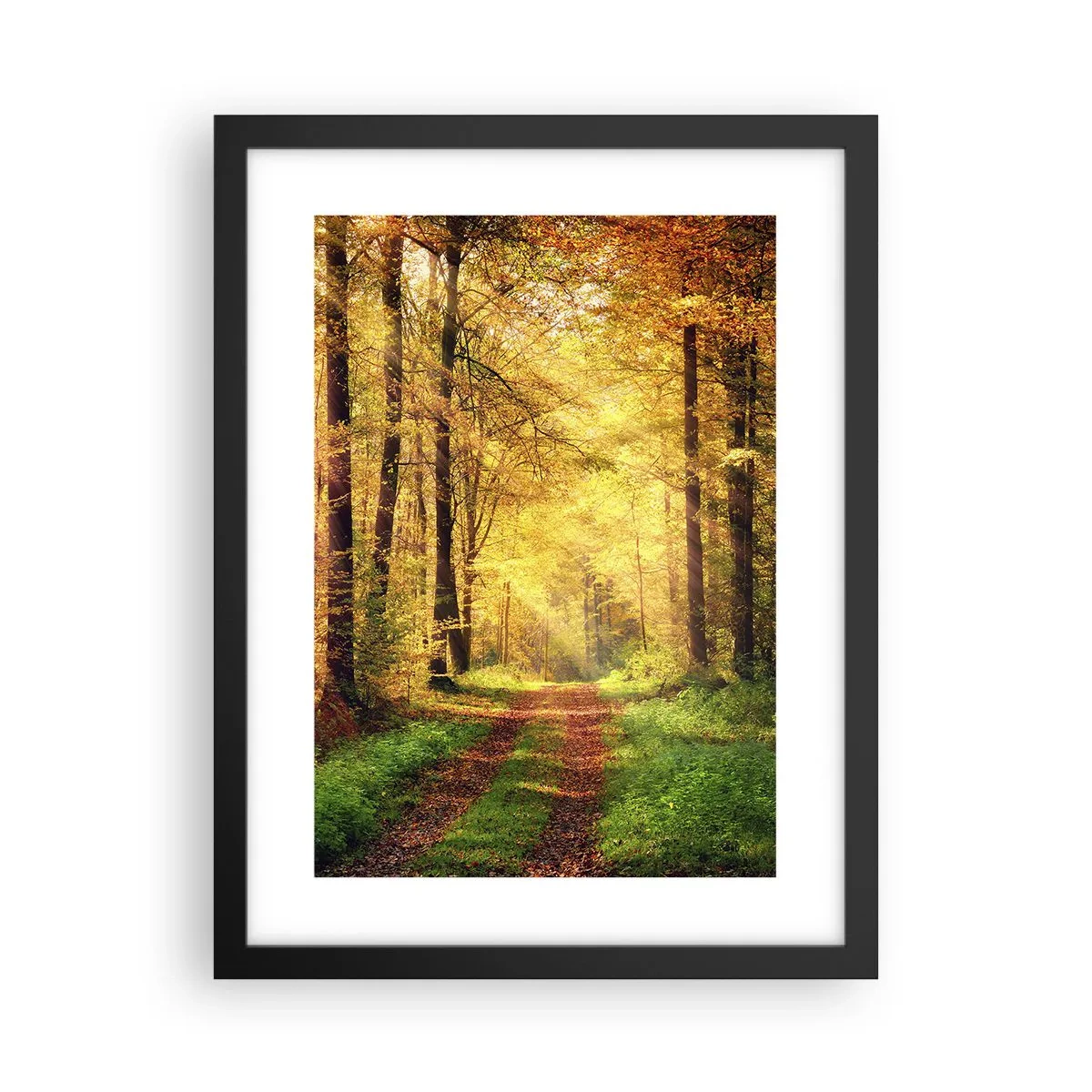 Plakát v černém rámu - Lesně-zlaté ticho - 30x40 cm