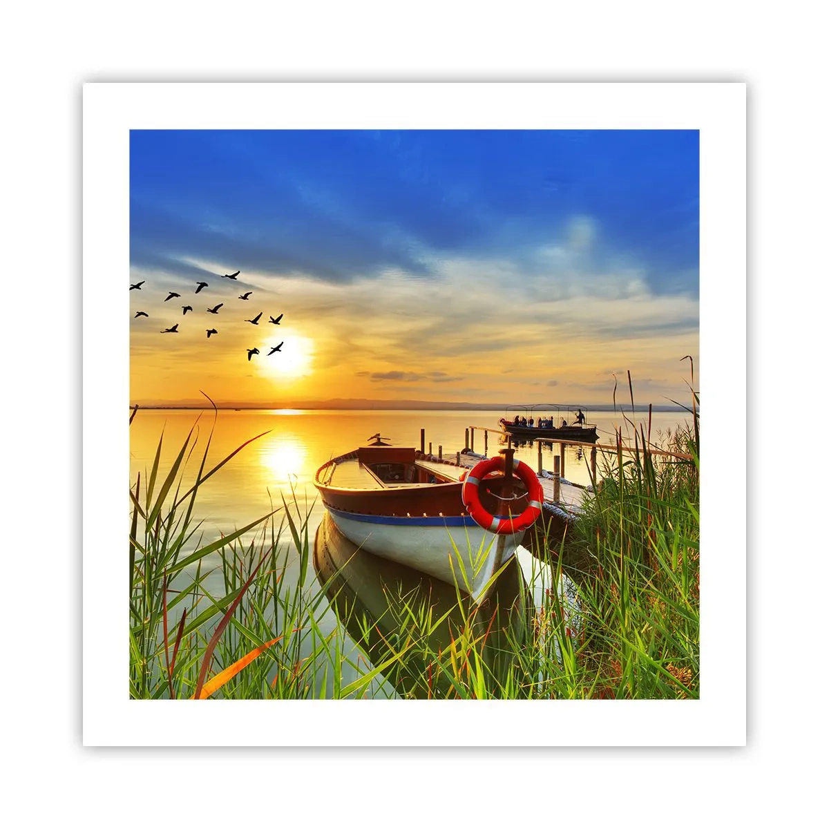 Plakát - Kormoráni už odlétají - 50x50 cm