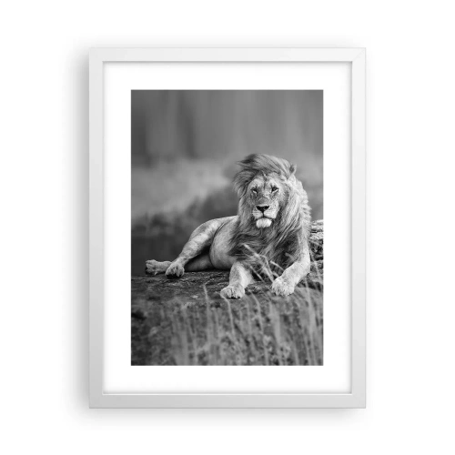 Plakát v bílém rámu - Královská siesta - 30x40 cm
