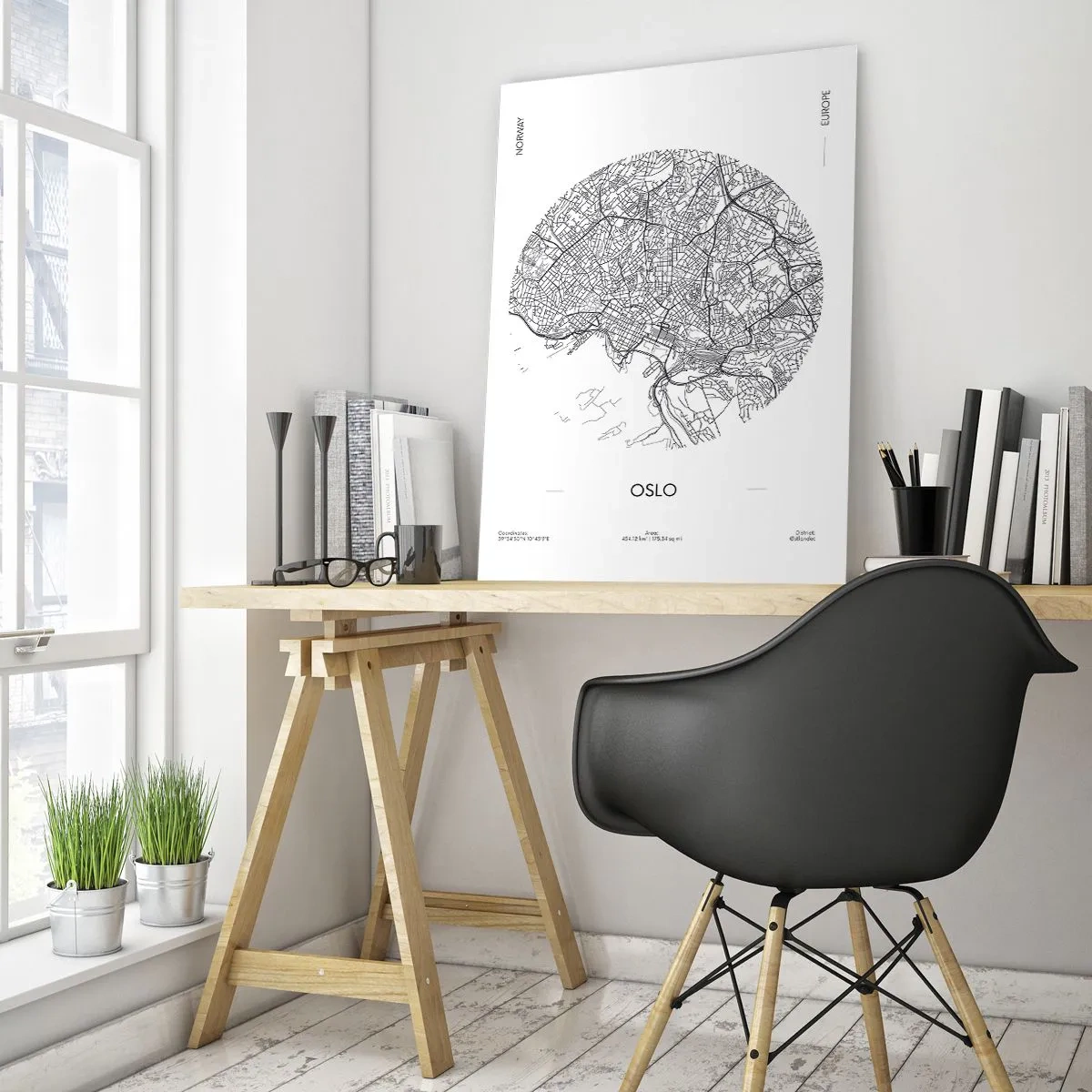 Obraz na skle - Anatomie Osla - 50x70 cm