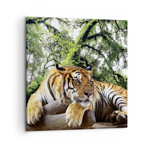 Obraz na plátně - S úctou - 60x60 cm