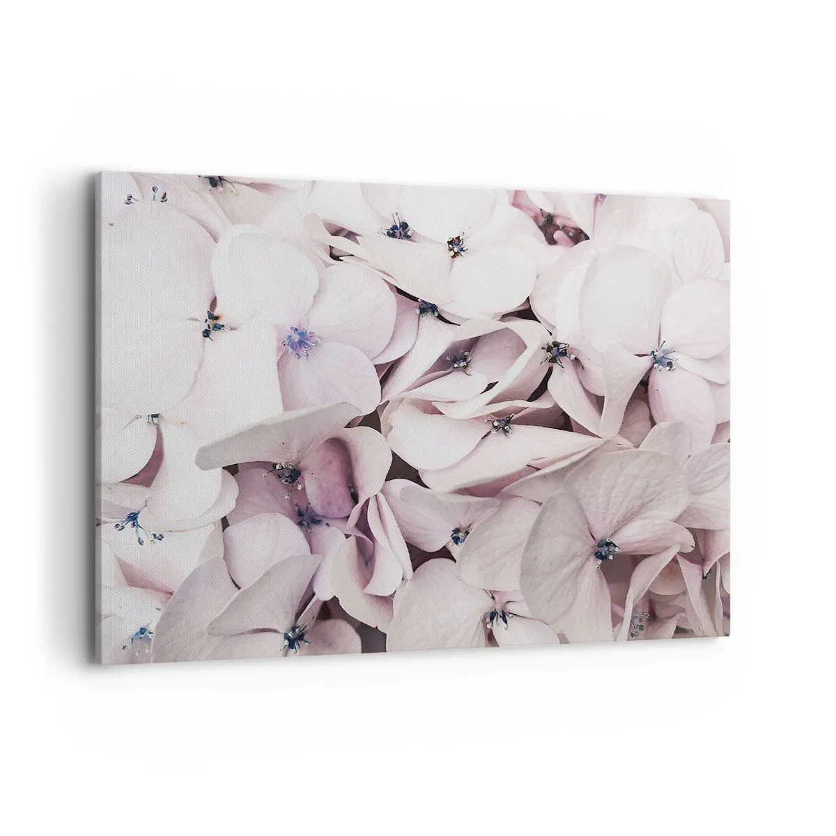 Obraz na plátně - V záplavě květin - 100x70 cm