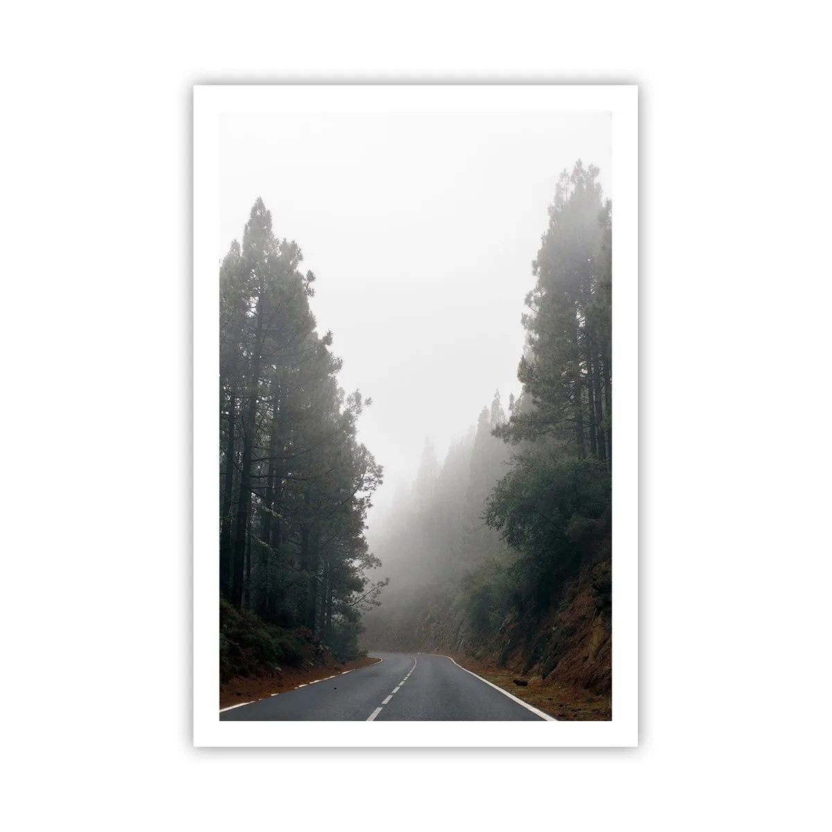 Plakát - Příběh kouzelného lesa - 61x91 cm