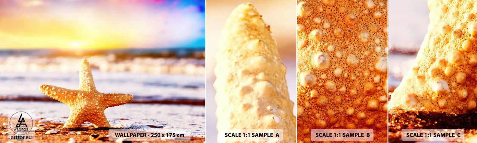 Fototapeta Vzorek Standard Eco - Mořský dárek - Mořská hvězdice, Pláž, Oceán - 100x30 cm