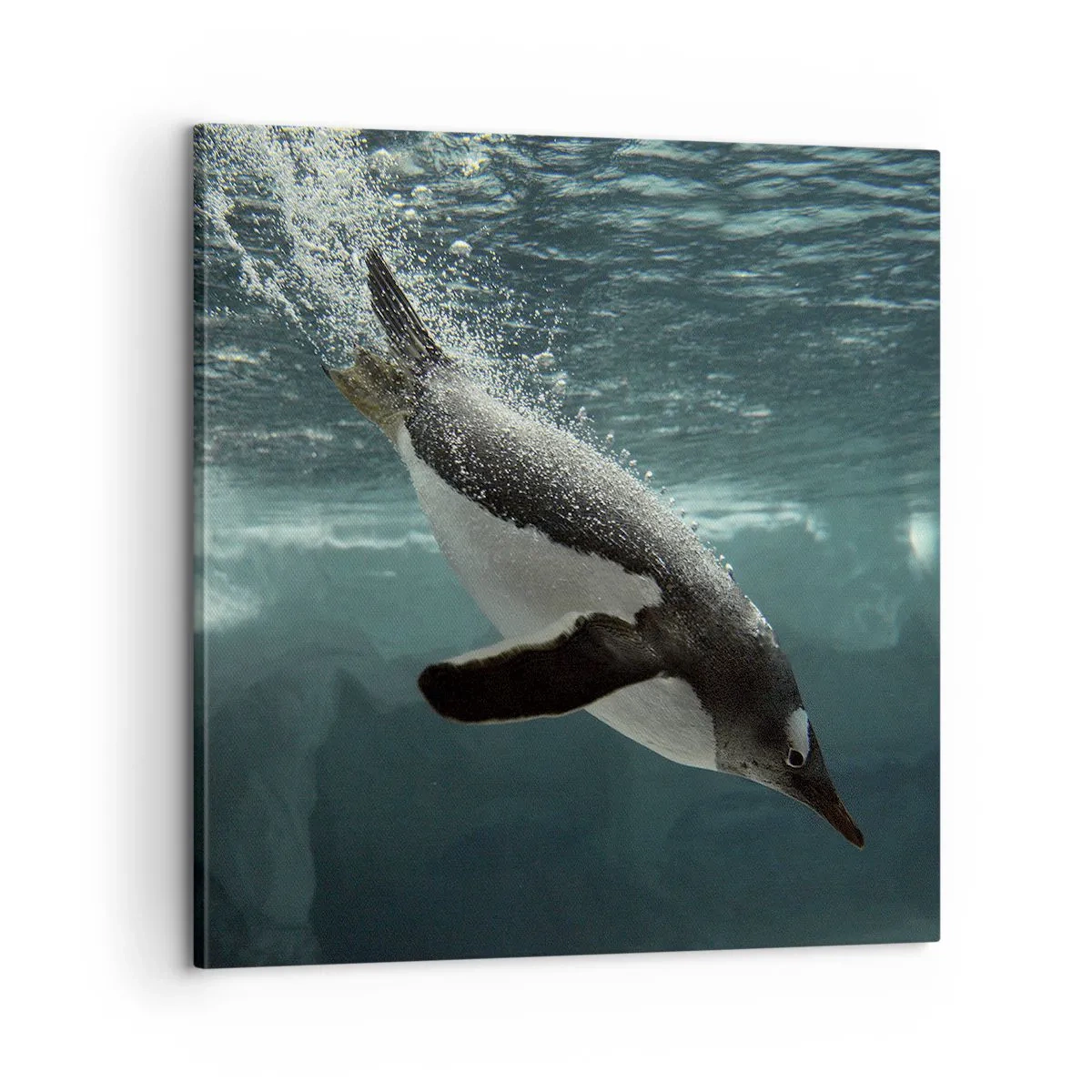 Obraz na plátně - Vítejte v mém světě - 60x60 cm