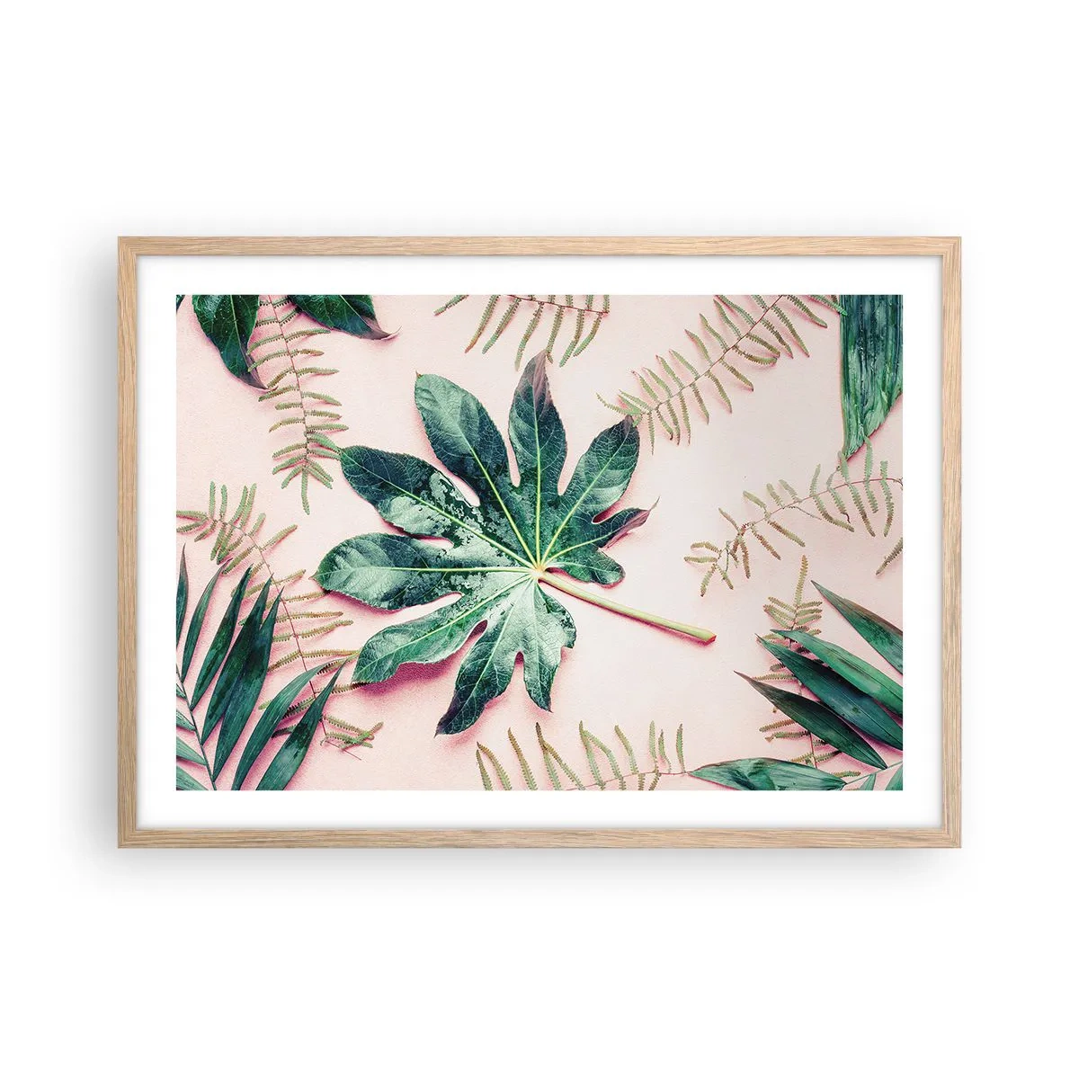 Plakát v rámu světlý dub - Studie zelené na růžovém pozadí - 70x50 cm